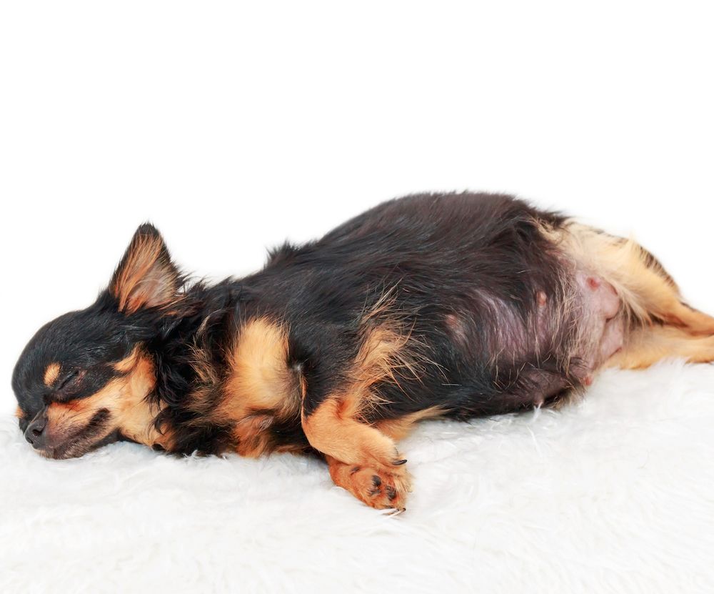 The ABCs of C-Sections